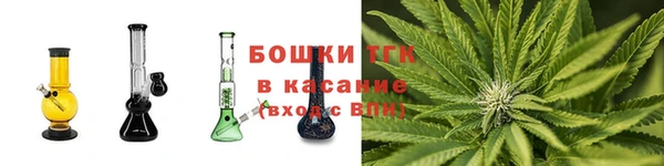 тгк Аркадак