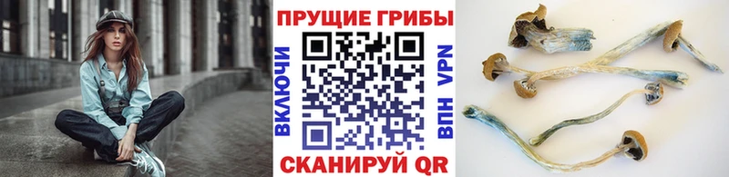 omg зеркало  Краснокаменск  Псилоцибиновые грибы Magic Shrooms  дарнет шоп 